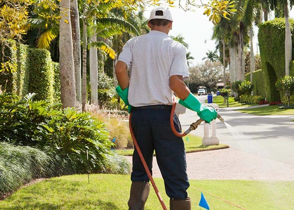 About Maxwell CA Pest Control